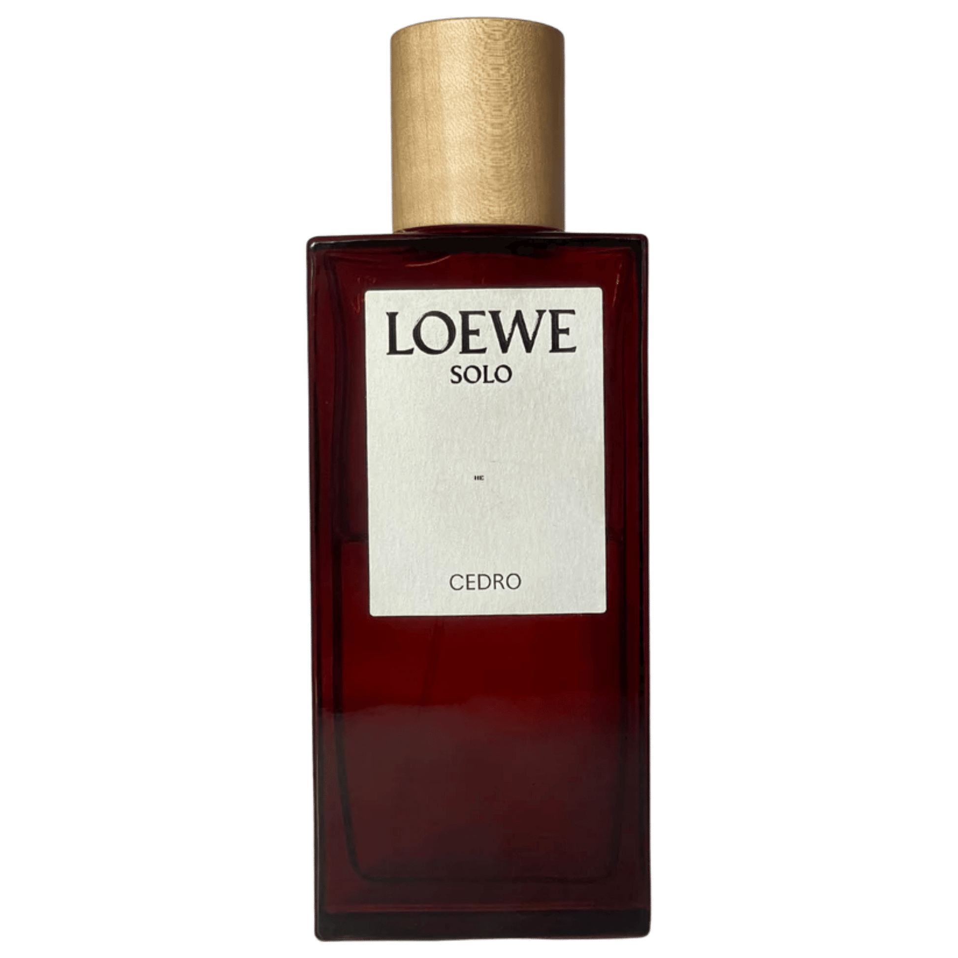 Loewe 2024 solo perfume