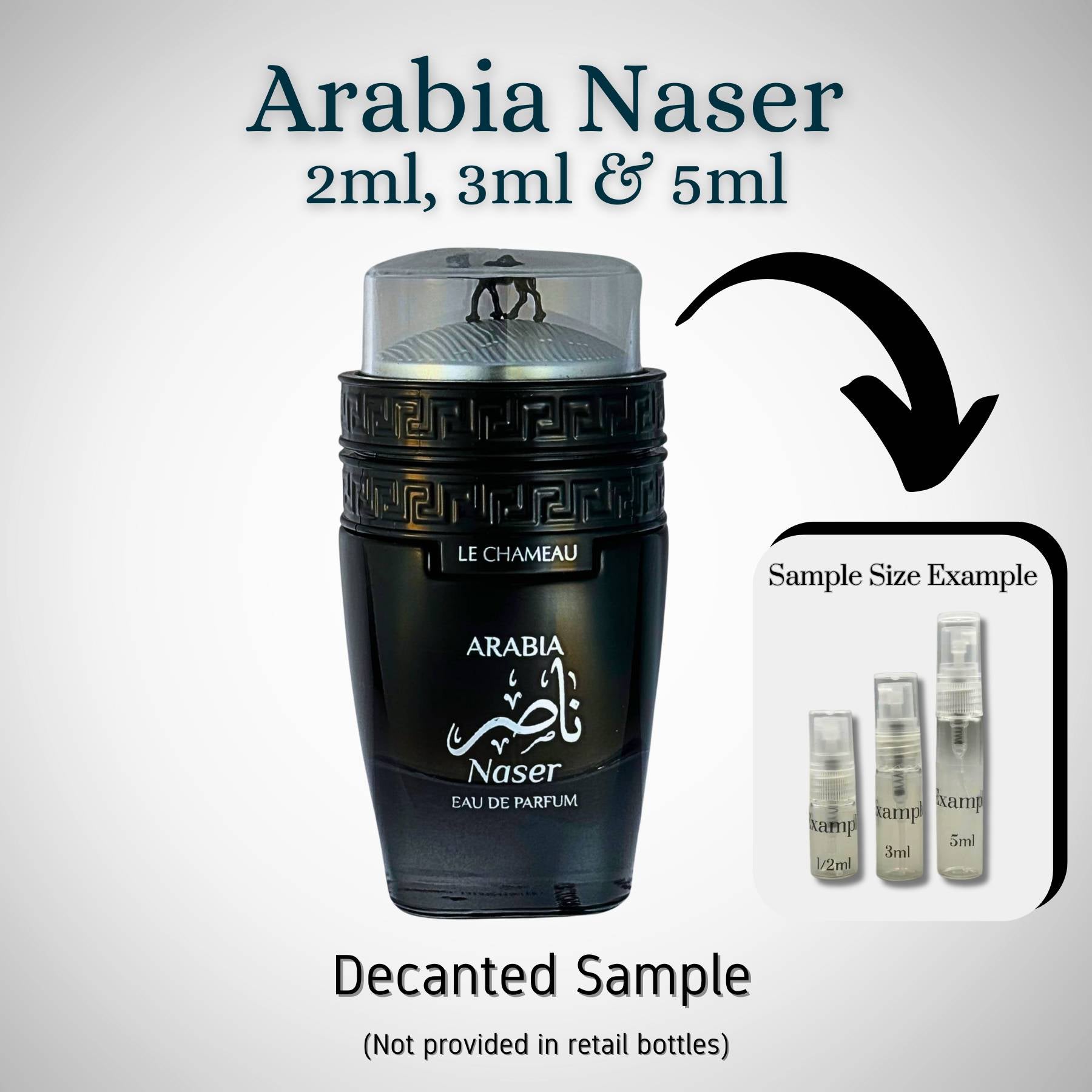 Le Chameau Arabia Naser Image illustration for samples